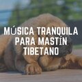 Dog Music - Music for a Calm Hound, Pt. 10