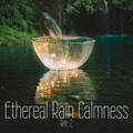 Healing Meditation Relaxing Music Channel、Rain for Deep Sleep、Binaural Moods - Slumbering Demeanour