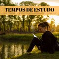 Tempos De Estudo: Correntes De Água De Serenas Para Se Concentrar Em Seus Livros Didáticos