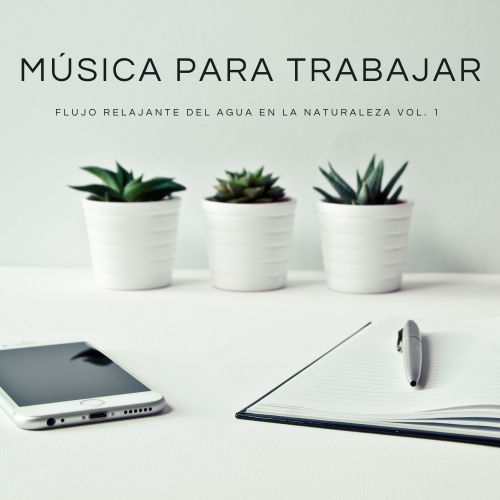 Musica para Concentrarse、Musica Para Leer、Musica Para Estudiar Academy - Relajación Terapéutica
