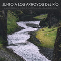 Junto A Los Arroyos Del Río: La Mejor Selección De Sonidos De Corrientes De Agua Para Una Siesta Rápida