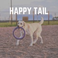Music for Dog's Ears - Music to Leave Your Dog Home Alone in Peace, Pt. 19