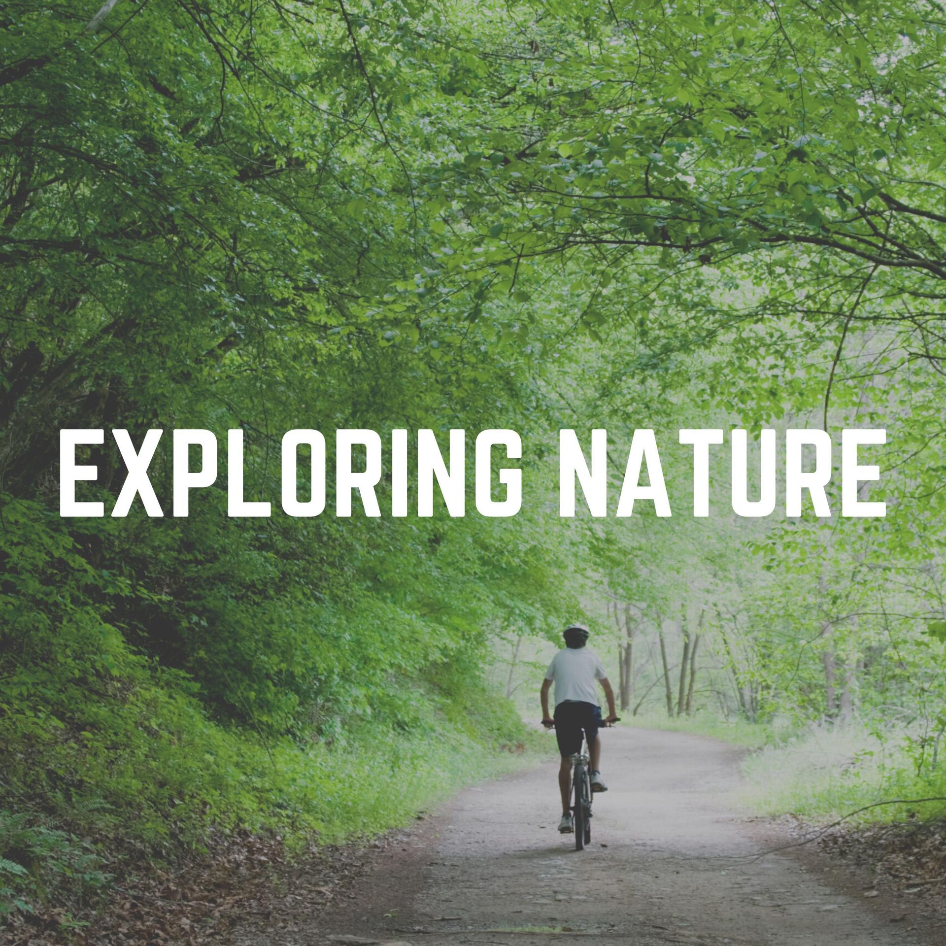 The Nature Soundscapes - 30 Beautiful Nature Sounds, Pt. 28