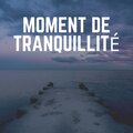 Musique Douce Ensemble - Relaxation Zen, Pt. 14