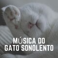 Música do Gato Sonolento