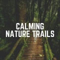 Nature Sounds Nature Music - Meditation with Nature, Pt. 10