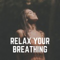 Relaxing Music - Music for Tranquil Spirit, Pt. 11
