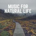 Actors of Nature - Everything Gets so Much Better