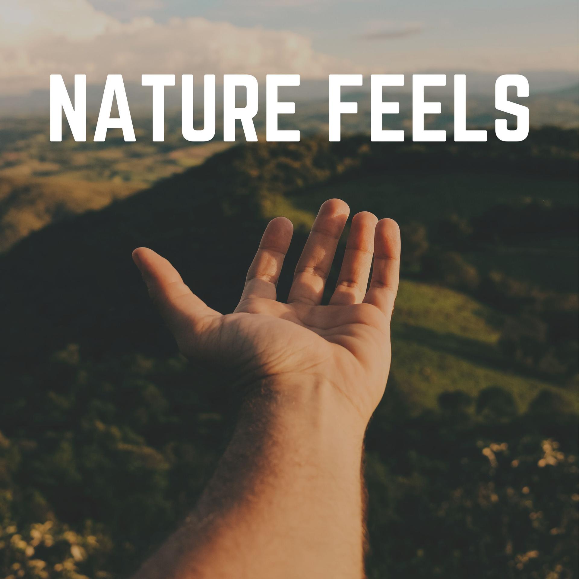 The Nature Soundscapes - Sleepy Rain Sounds, Pt. 2