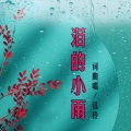 泪的小雨 (DJ版)