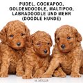 Mario Kunze - Die richtige Pflege des Hundes