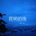 昆明的夜