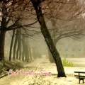 Adam Lee - Sad Country Songs