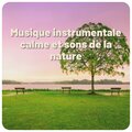 Musique instrumentale calme et sons de la nature