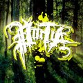 Portia mx - Falsedad