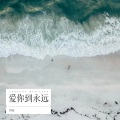 阿海 - 你是我难舍的情缘