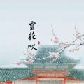 风卿落、柳梦璃 - 雪花叹