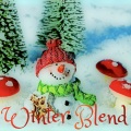 Winter Blend 〜冬のカフェ/ボサノバソング集〜