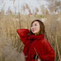 妩媚的风儿 - 家乡的月亮
