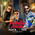 Fetele Mele (feat. Uddi)