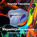 ExpertChimpanzee - Toyota Tacoma