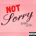 Not Sorry (feat. D.Von) [Explicit]