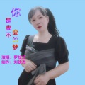 罗松兰 - 你是我不变的梦 (Live)