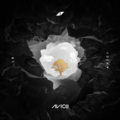Avisoci - Lonely Together