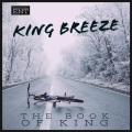 King Breeze、Lydia - Image (feat. Lydia)(Explicit)
