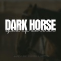 Dark Horse Sped Up (Remix)