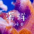 海洋白噪音: 让深度放松的海洋声音,水下音景,适合睡眠、温泉水疗、按摩、冥想、休息的海浪声音