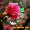 隆鑫飞歌、云曼 - 谁说梅花没有泪