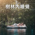 樹林內睡覺:深度睡眠的森林聲音,森林溪流,河流,小鳥歌曲,舒緩的白噪音,純大自然音樂