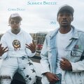 ChrisDolo、JBS - Summer Breeze (feat. JBS)(Explicit)