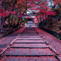 画风行万里