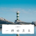 三胖muic - 爱怎么了