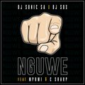 Nguwe