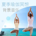 治愈海浪声 - 海浪和鸟