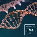 睡眠頻度での DNA 修復 (体と心を癒し、不眠症と睡眠障害を防ぐリラックスした音楽で一晩中穏やかな睡眠)