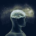 Mind vs. Matter