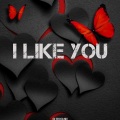 DJ Boomin - I Like You