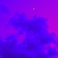 degree - Floating