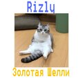 Rizly - Золотая Шелли