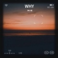 小钟同学o - WHY