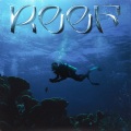 YB、OFF - Reef