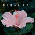 Binaural: Sonidos De Bichos De La Naturaleza Para La Meditación Curativa Vol. 1