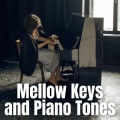 Mellow Keys and Piano Tones