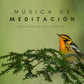 Música De Meditación: Mente En Descanso Con Las Aves Vol. 1