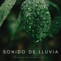 Sonido De Lluvia: Lluvia En Mi Sueño Vol. 1