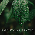 Sonido De Lluvia: Lluvia Del Verano Vol. 1